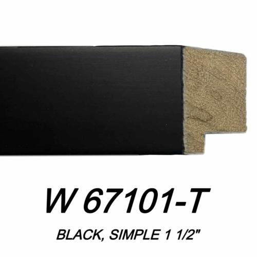 w-67101-t-min