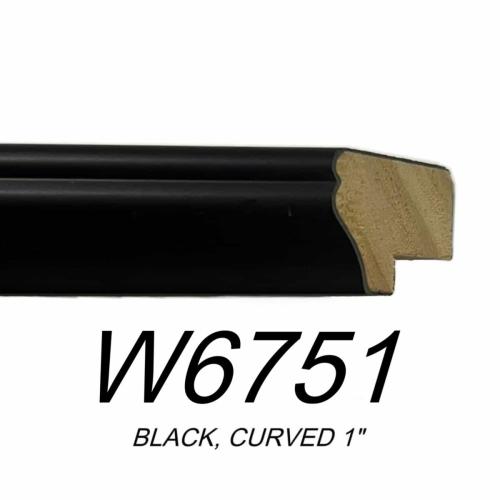 w6751